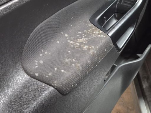 Interior condition before