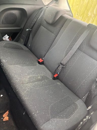 Interior condition before