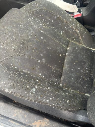 Interior condition before