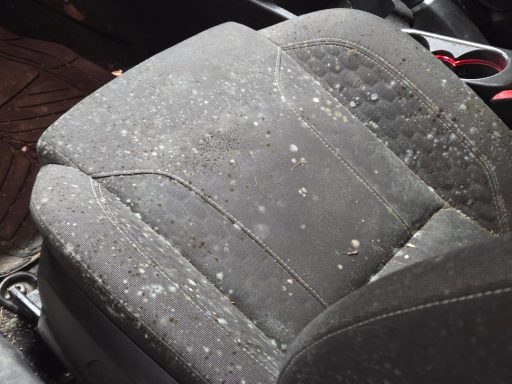 Interior condition before